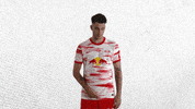 Champions League Football GIF by RB Leipzig