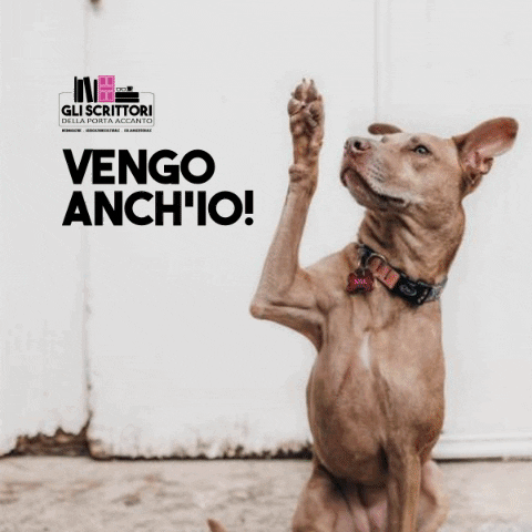 GliScrittoriDellaPortaAccanto giphygifmaker GIF