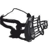 Beezys_Pack dog training dog rescue dog trainer training tips Sticker