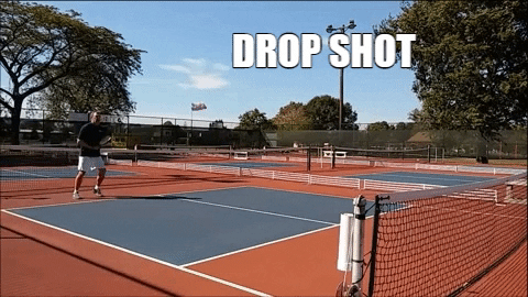 pickleballmax giphygifmaker GIF