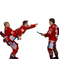 Sport Win Sticker by Eisbären Regensburg