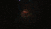 Ged GIF by Lute