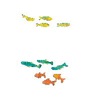 Illustration Fish Sticker by G&G Verlag