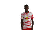 Football No Sticker by RB Leipzig