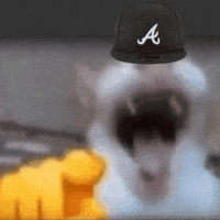 Atlanta Braves Laughing Cat GIF
