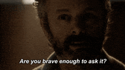 GIF by ProdigalSonFox