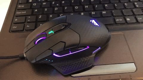 carlosmartins5b5c giphygifmaker GIF