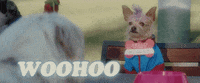 Kissing Strangers GIF by DNCE