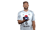Handball-Bundesliga Handball Sticker by LIQUI MOLY HBL