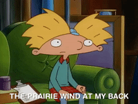 hey arnold nicksplat GIF