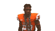 Clap Shrug Sticker by Carson-Newman Athletics