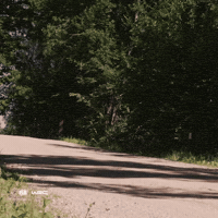 On The Way Car GIF by FIA World Rally Championship