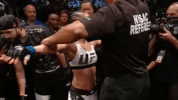 ufc 205 GIF