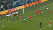 football save GIF by 1. FC Köln