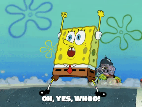 season 6 GIF by SpongeBob SquarePants