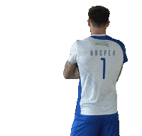 Volleyball Volley Sticker by VERVA Warszawa ORLEN Paliwa