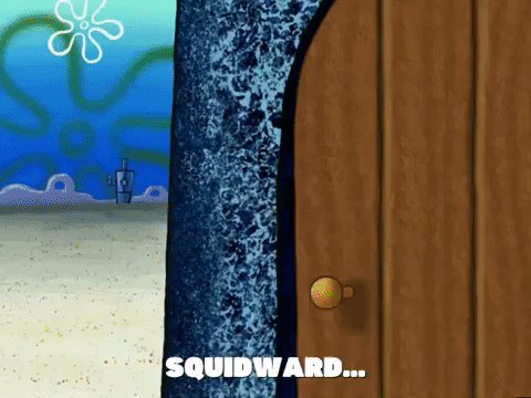 season 5 GIF by SpongeBob SquarePants