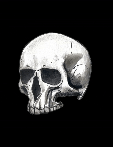 mondaedesigns spooky skull head bones GIF
