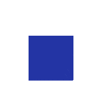 Bircham education graduation bircham birchaminternationaluniversity Sticker