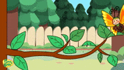 Lay Eggs GIF