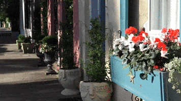 Digital-Ignite charleston chs southcarolina GIF