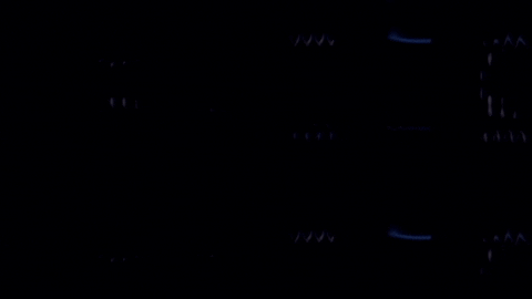Video Art GIF by cskonopka