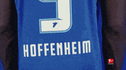 Happy Tsg Hoffenheim GIF by Bundesliga