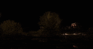 new mexico albuquerque GIF