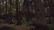 thirtysecondstomars 30 seconds to mars do or die GIF