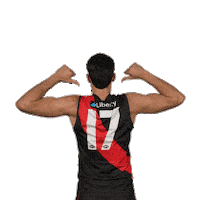 Dons Bombers Sticker by Essendon FC