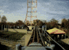 National Roller Coaster Day GIF