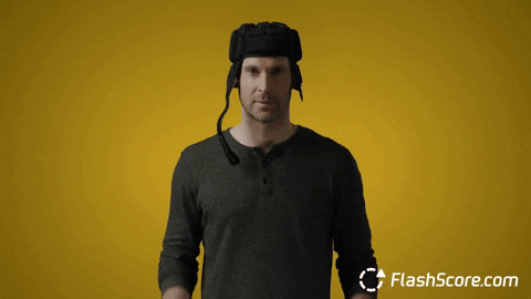 FlashScore giphyupload tennis helmet cech GIF