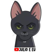 julioeeu cat pet kitten gato GIF