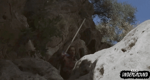 Cult Classic GIF by Turner Classic Movies