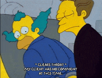 Season 1 GIF by The Simpsons