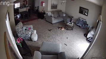 Doorbell Footage Shows 2021 Arrest of Colorado Springs Shooting Suspect
