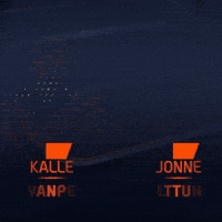 Team Motorsport GIF by FIA World Rally Championship