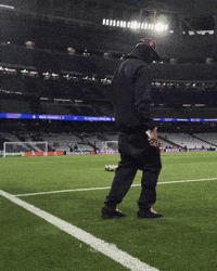 Bayern GIF