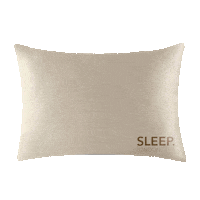 Beauty Sleep Sticker by Pro Blo Group