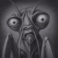 Kungfu Mantis GIF