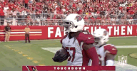 2018 Nfl Football GIF by NFL