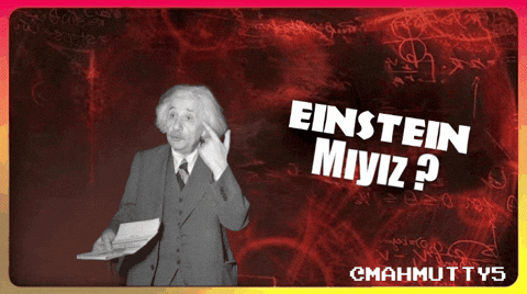 Einstein Evrim GIF