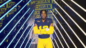 Go Blue Michigan Football GIF by Michigan Athletics