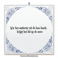 Humor Nl GIF by Tegelspreuken.nl