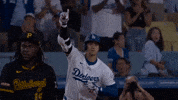 Home Run Sport GIF by MLB