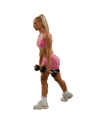 Fitness Workout Sticker by BODi