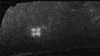 raining black and white GIF by The Good Films