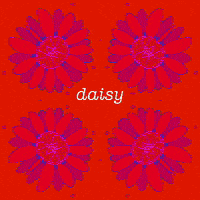 Flowers 70S GIF by Daisy Lemon