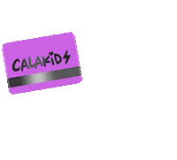 Credit Card Swipe Sticker by Calakids Boutique