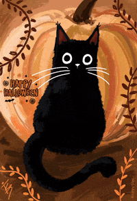 Black Cat Art GIF